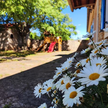 Vila Kuca Dida Jure Pridraga Exteriér fotografie