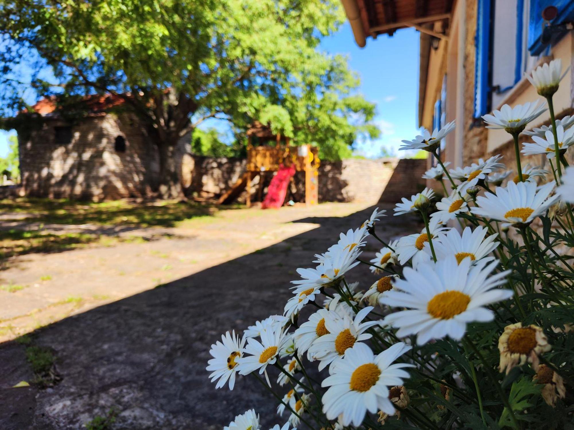 Vila Kuca Dida Jure Pridraga Exteriér fotografie