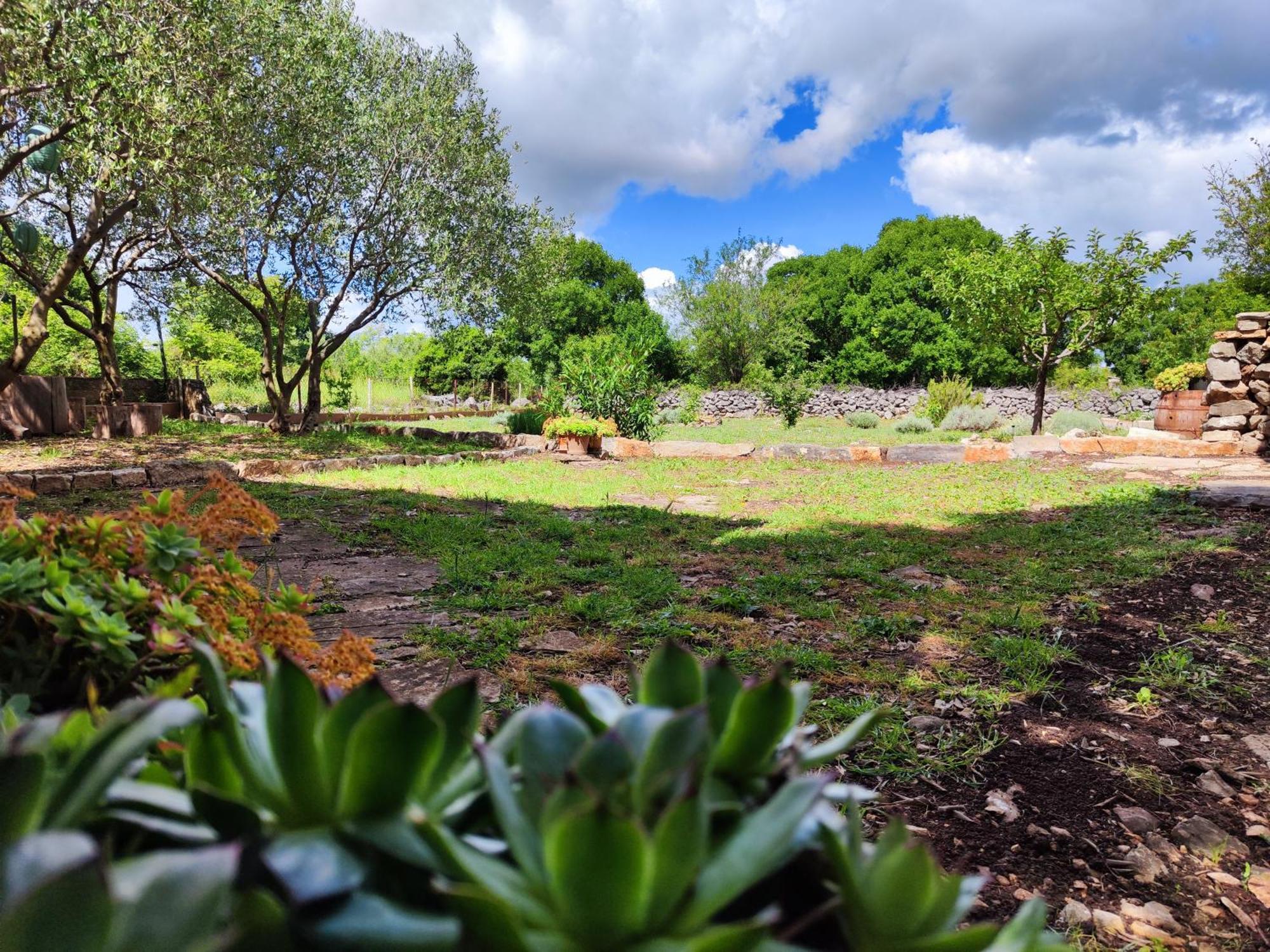 Vila Kuca Dida Jure Pridraga Exteriér fotografie