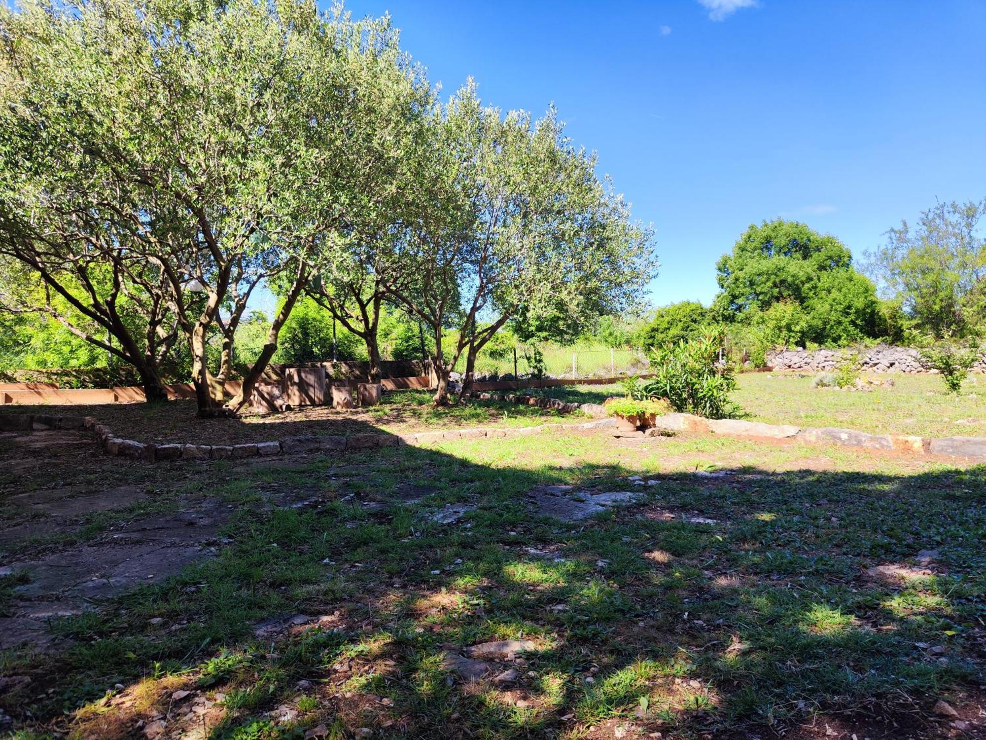 Vila Kuca Dida Jure Pridraga Exteriér fotografie